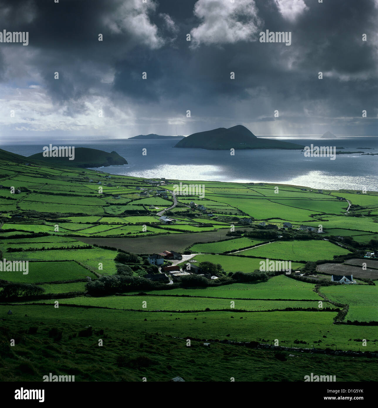 Blick auf Blasket Sound zu den Blasket Inseln und Slea Head, Halbinsel Dingle, County Kerry, Munster, Irland Stockfoto