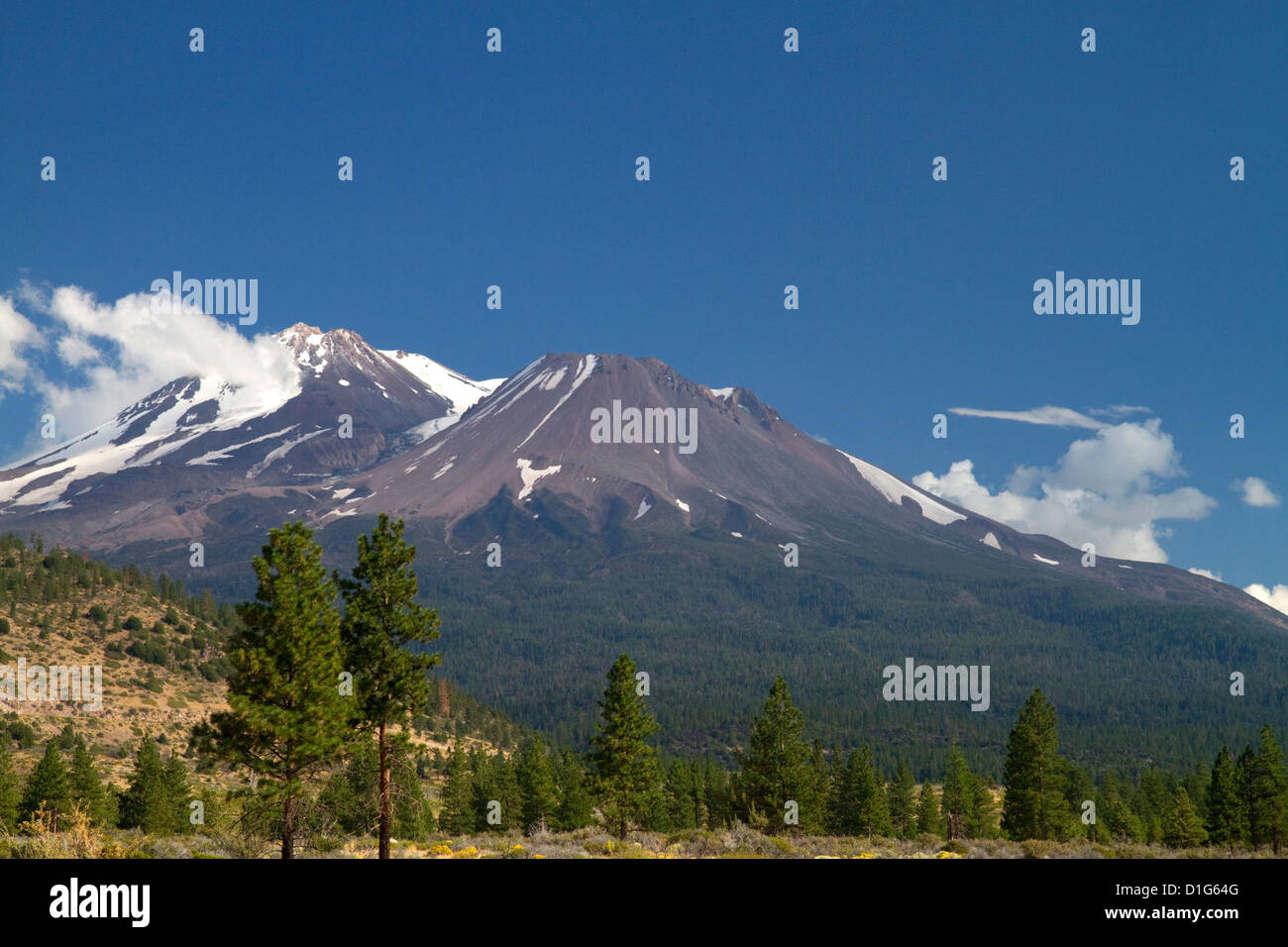 Mount Shasta Nord zugewandten Seite befindet sich in Siskiyou County, Kalifornien, USA. Stockfoto