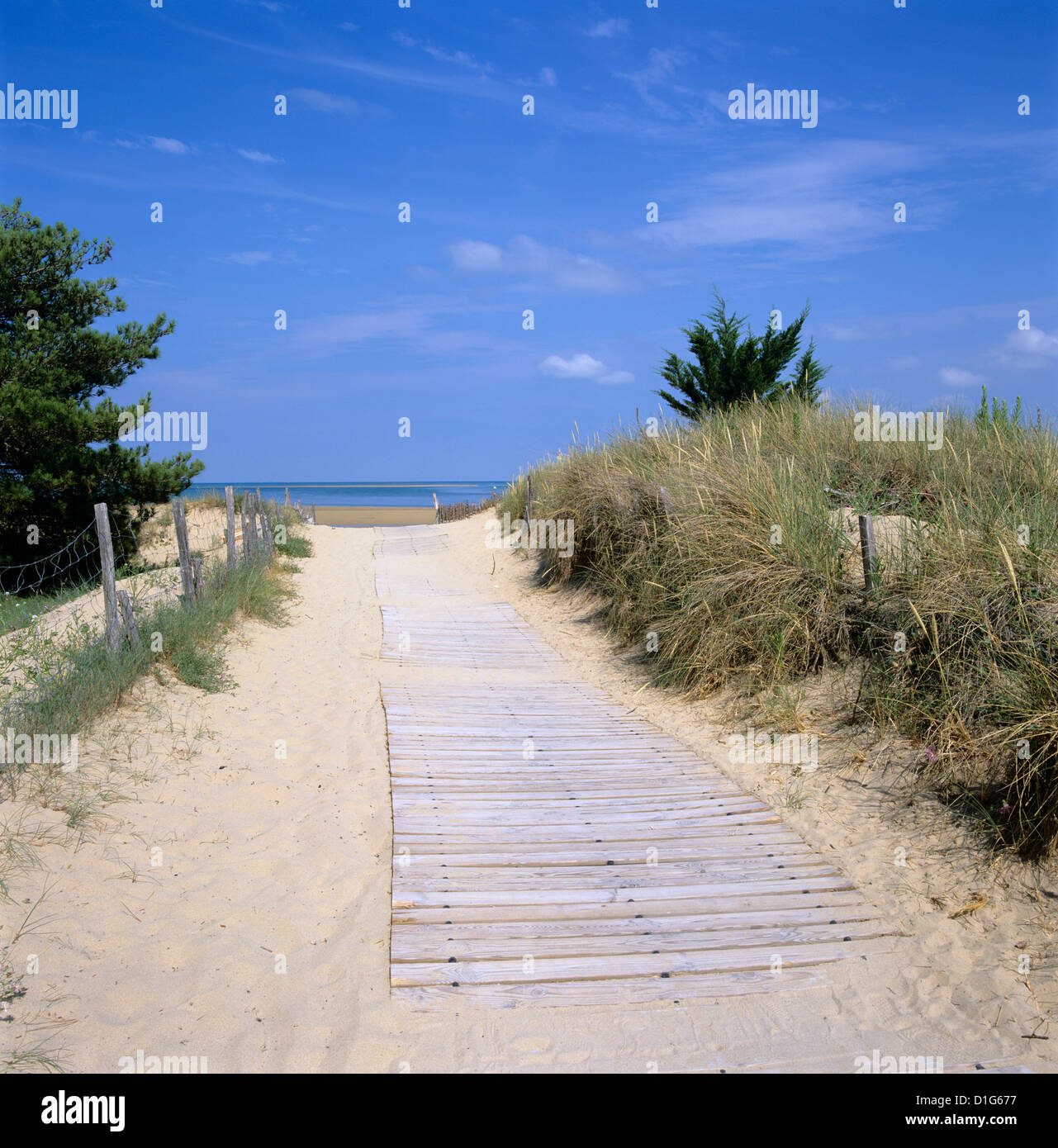 Strand an der Westküste, Ile de Ré, Poitou-Charentes, Frankreich, Europa Stockfoto