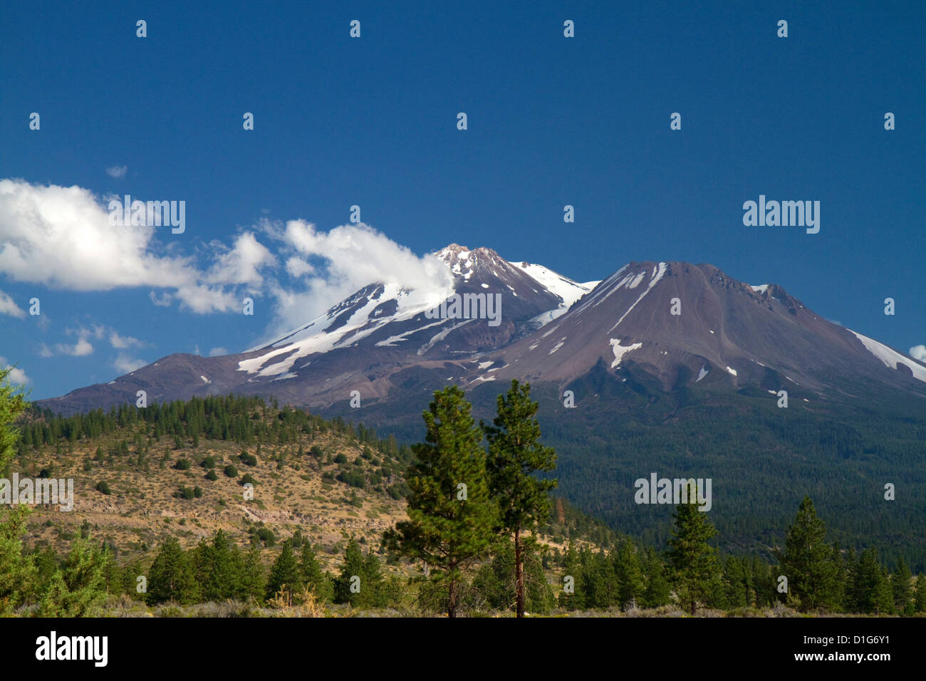 Mount Shasta Nord zugewandten Seite befindet sich in Siskiyou County, Kalifornien, USA. Stockfoto