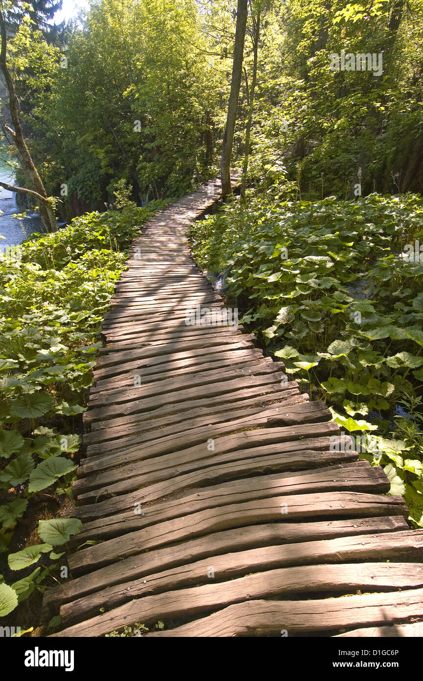 Elk192-1852v Kroatien, Nationalpark Plitvicer Seen, Boardwalk durch den park Stockfoto