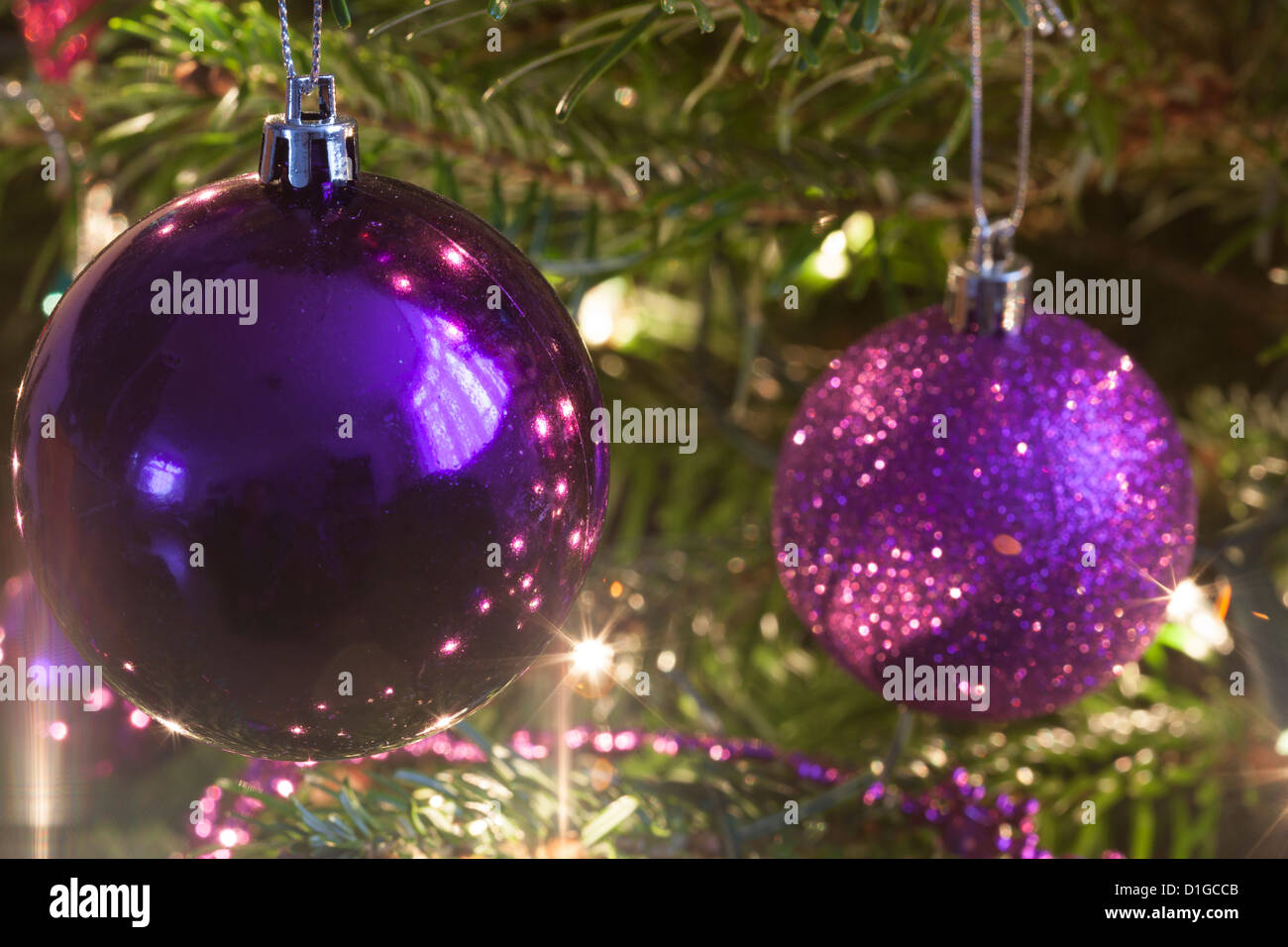 Weihnachtsbaum Hordman Kiefer Tanne geschmückt mit funkelnden Lichtern und Kugeln in grün lila und rosa, einige unscharf verschwommen Stockfoto