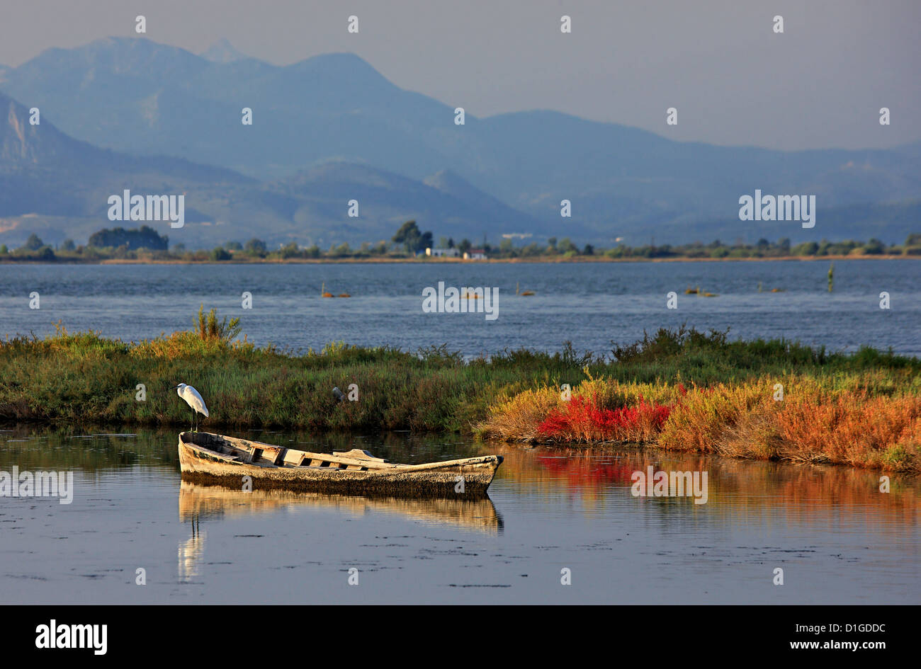 Verlassene Boot am Logaros Lagune, ("Amvrakikos") Ambrakischen Golf, Arta, Epirus, Griechenland. Stockfoto