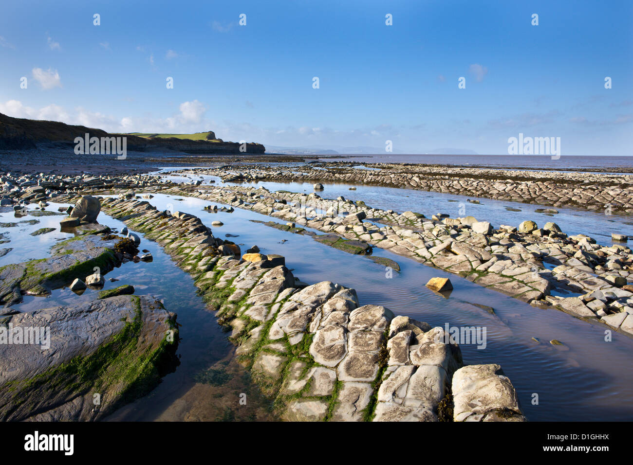 Kalkstein und Schiefer Felsformationen an der Küste Kilve, Somerset, England, Vereinigtes Königreich, Europa Stockfoto