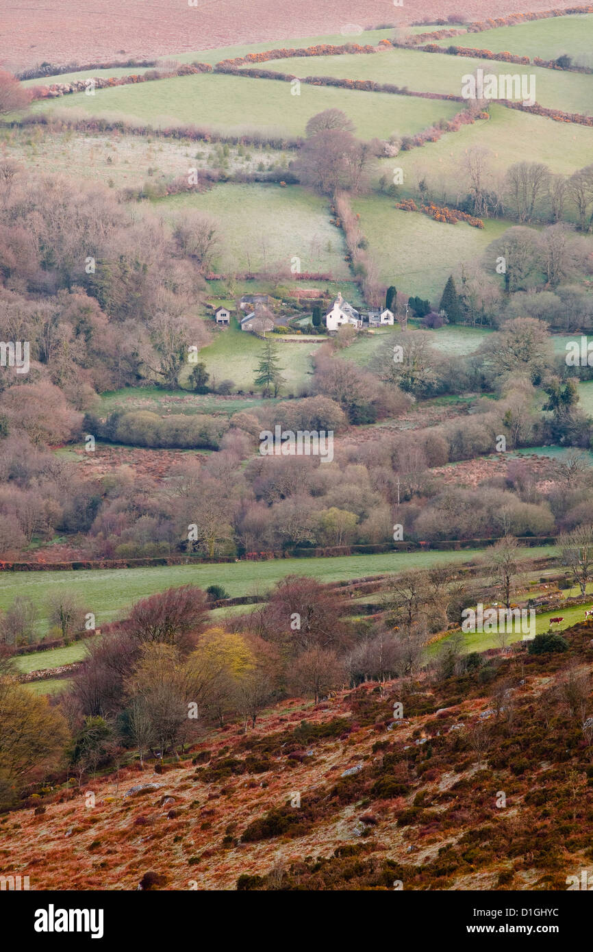 Eine isolierte Bauernhaus in Dartmoor National Park, Devon, England, Vereinigtes Königreich, Europa Stockfoto