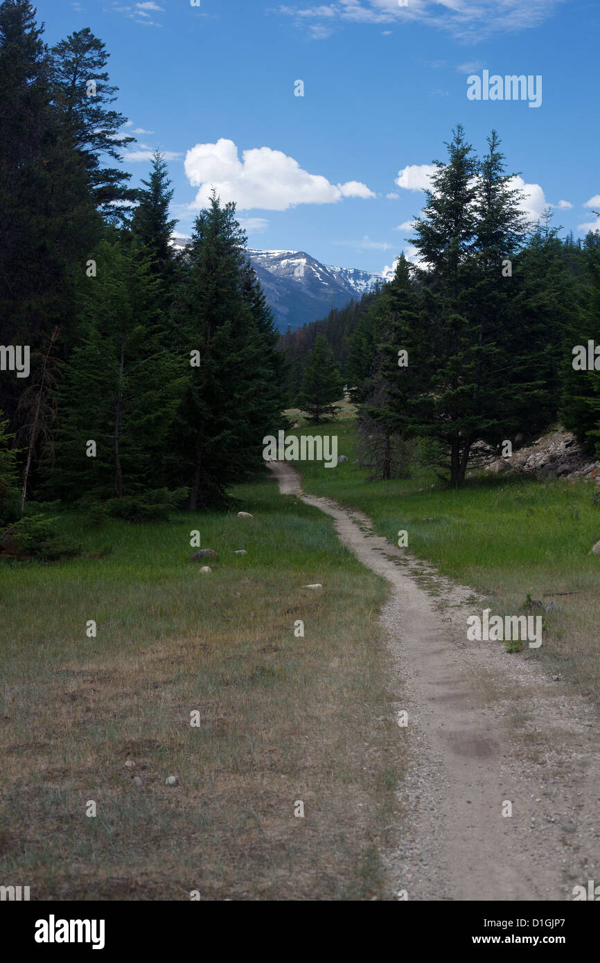 Ein Wanderweg durch die Rocky Mountains Stockfoto