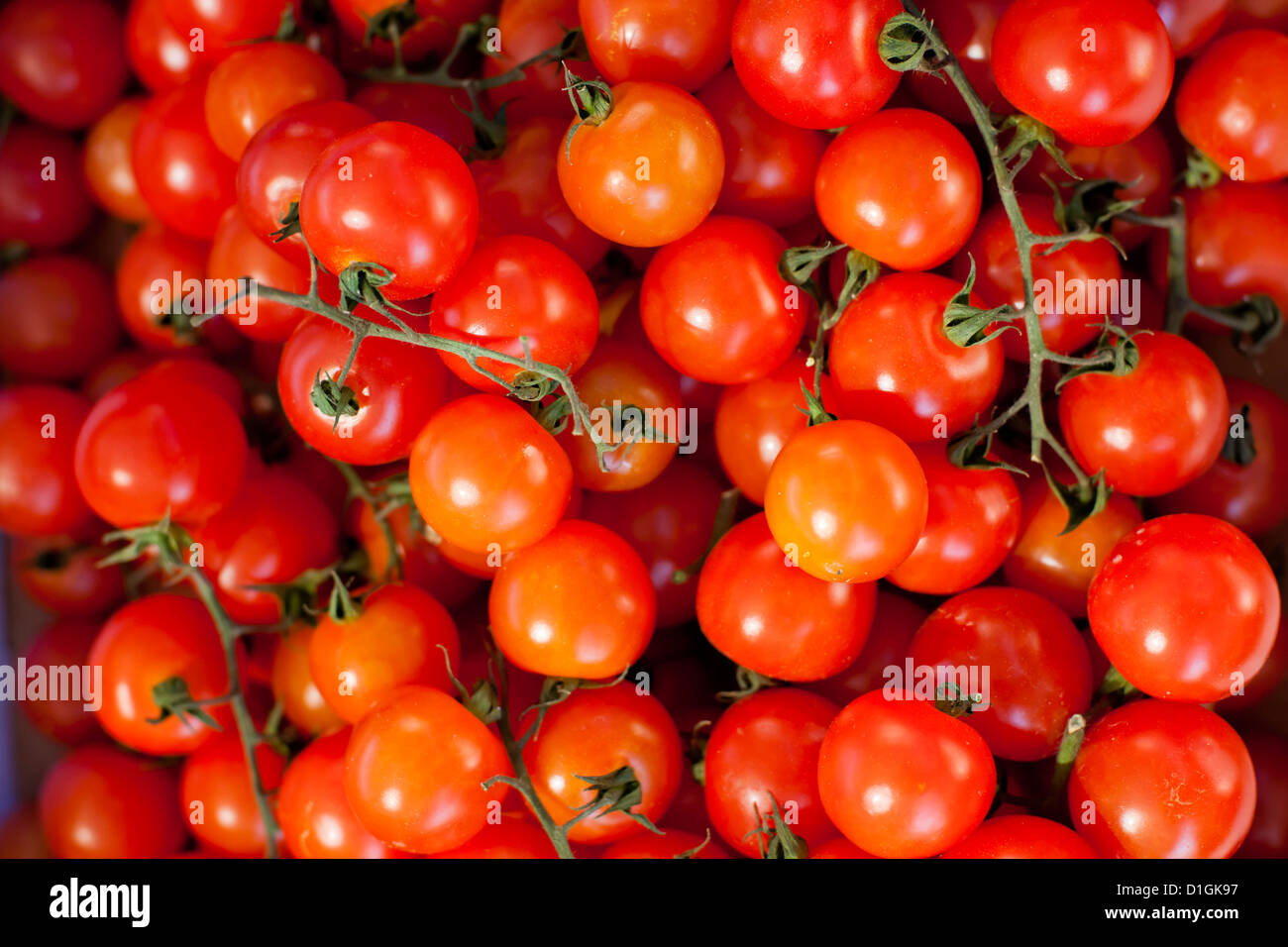 Tomaten für den Verkauf auf dem Markt am Sonntagmorgen, Pollenca, Tramuntana, Mallorca, Balearen, Spanien, Europa Stockfoto