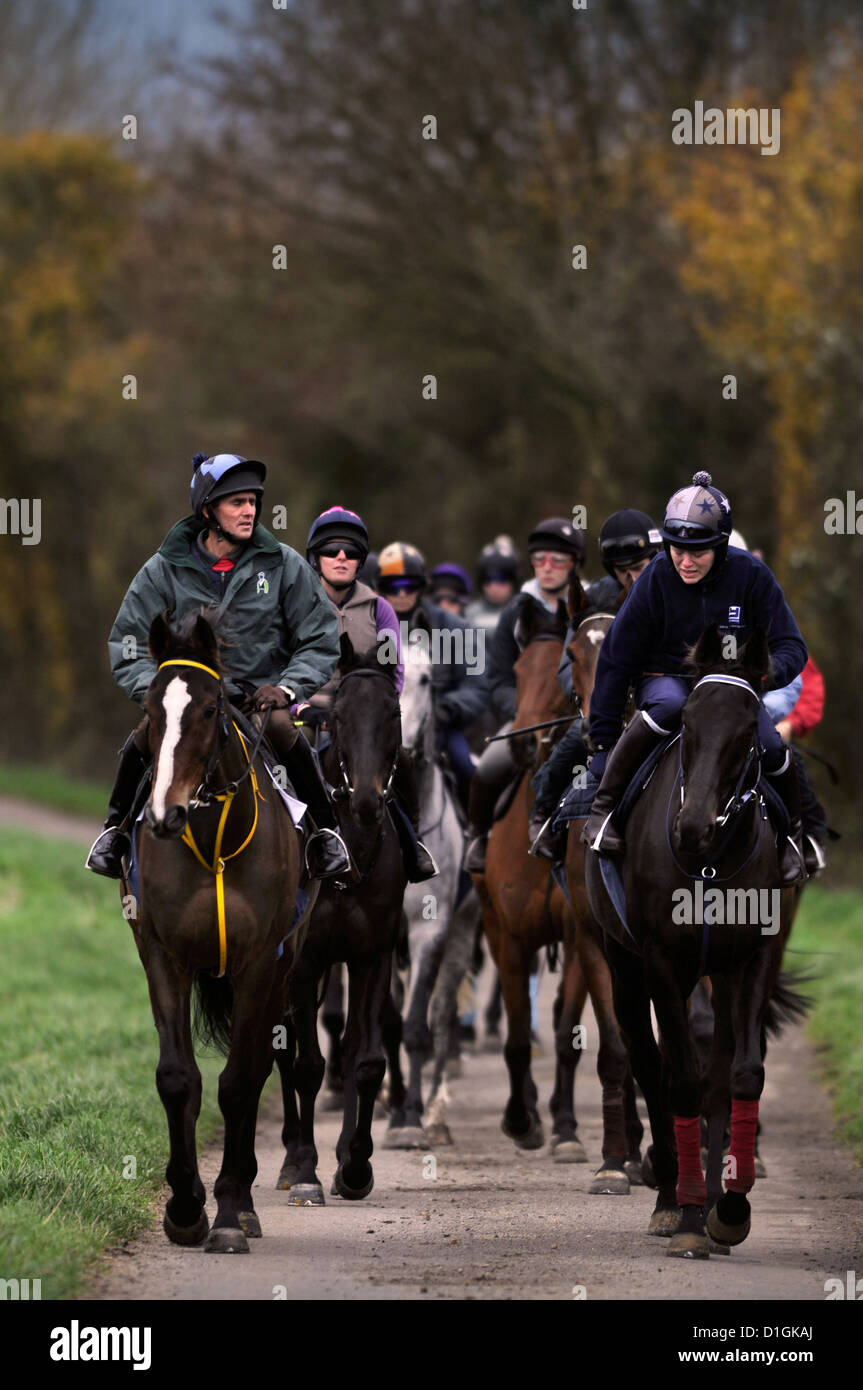 Eine Zeichenfolge von Pferden bei Paul Nicholls Stallungen in Ditcheat, Somerset - einschließlich der Champion Kauto Star (links im Bild) führt Stockfoto