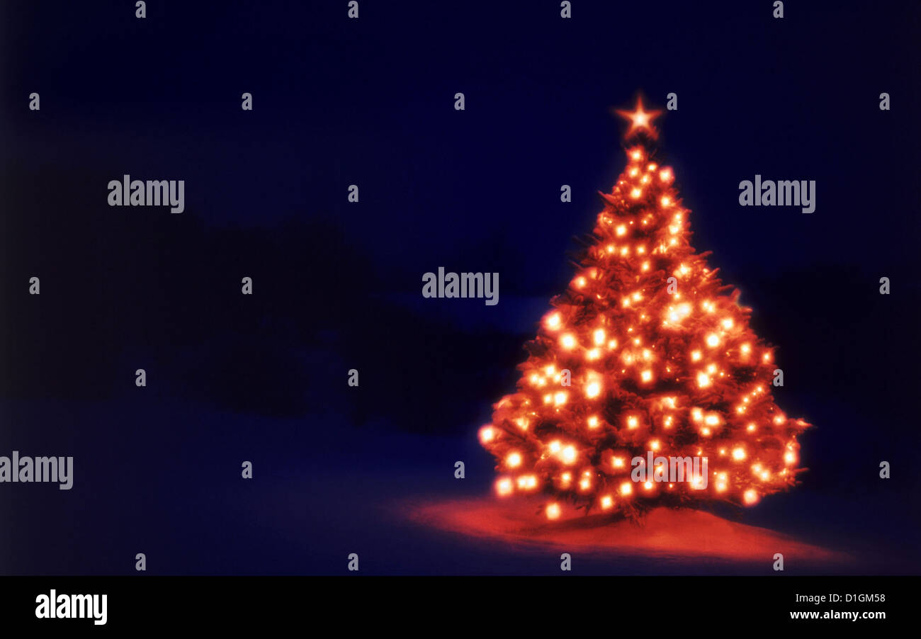 Weihnachtsbaum mit einem Stern Ende Leuchten Stockfoto