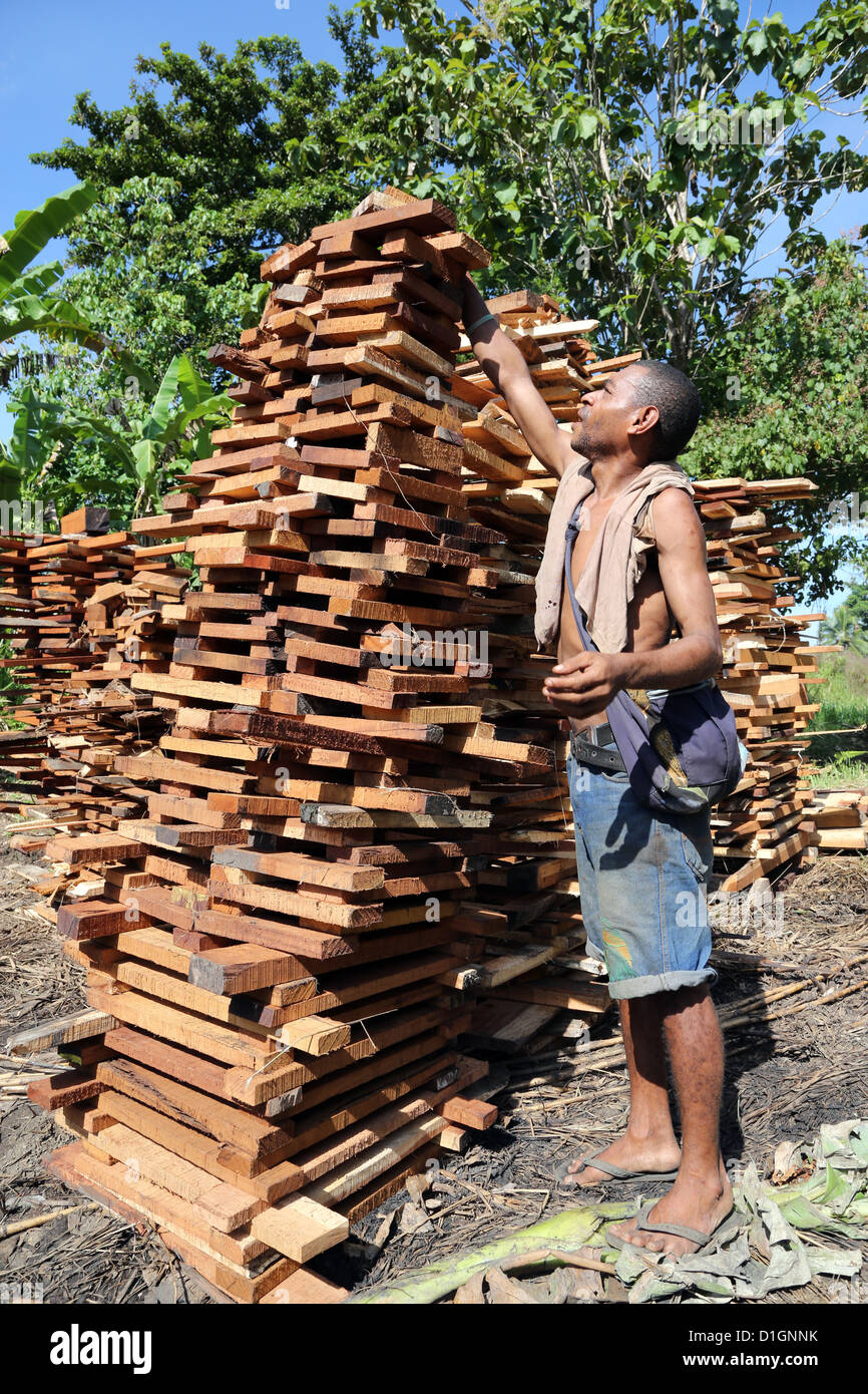 Man stapelt Brennholz zum Verkauf, Abfälle aus einem Sägewerk in Provinz Madang, Papua-Neu-Guinea Stockfoto