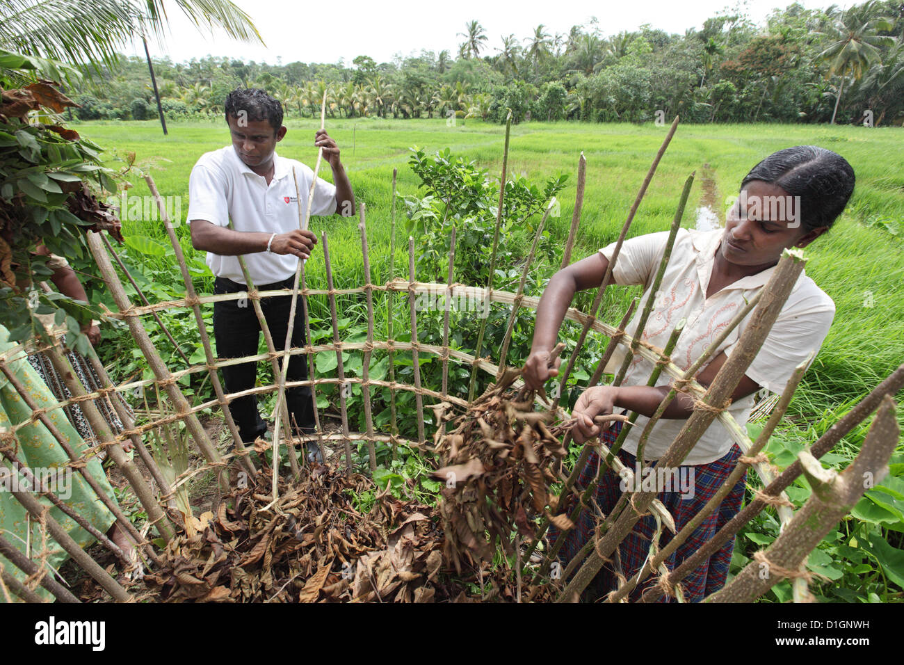 Ambalangoda, Sri Lanka, Malta Frauen in Führungspositionen zeigt die Herstellung von Kompost Pflanzen Stockfoto
