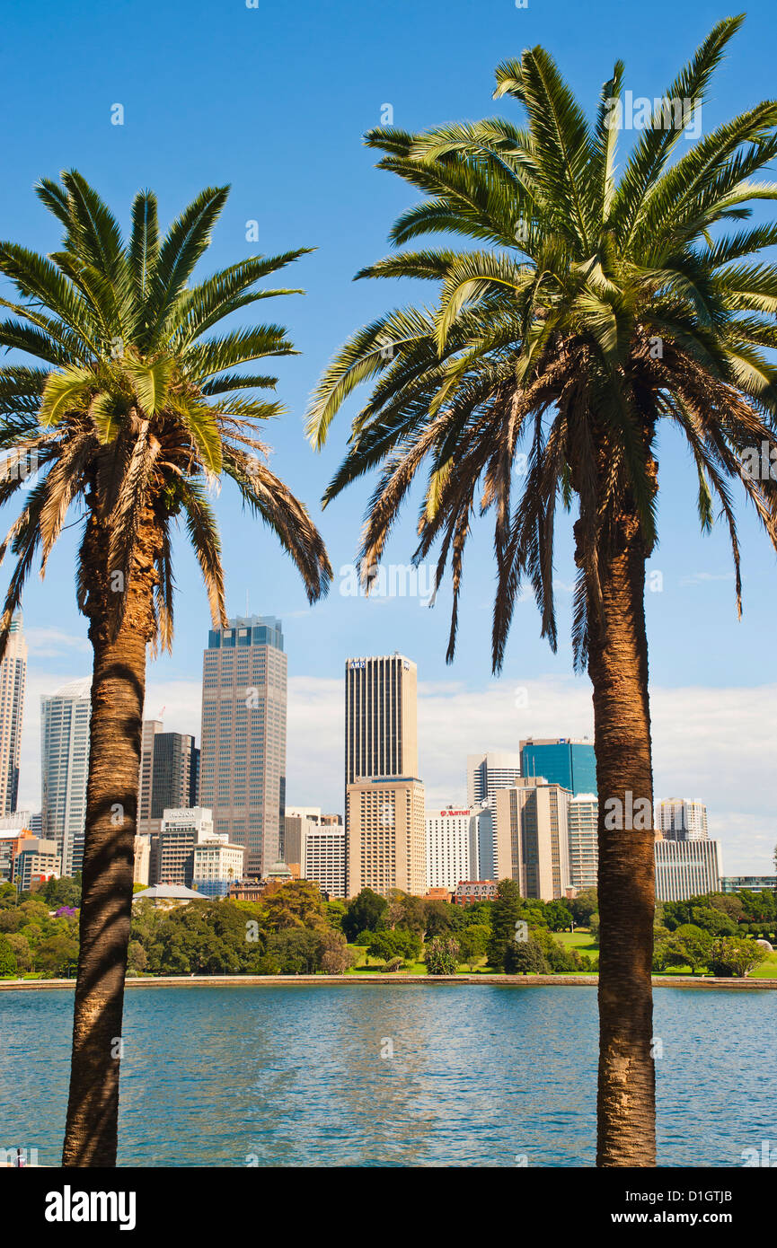 Sydney CBD und ins Stadtzentrum von Sydney Botanic Gardens, Sydney, New South Wales, Australien, Pazifik Stockfoto