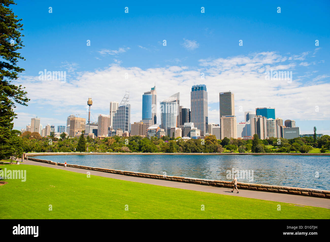 Stadtzentrum von Sydney und central Business District (CBD) von Sydney Royal Botanic Gardens, Sydney, New South Wales, Australien Stockfoto