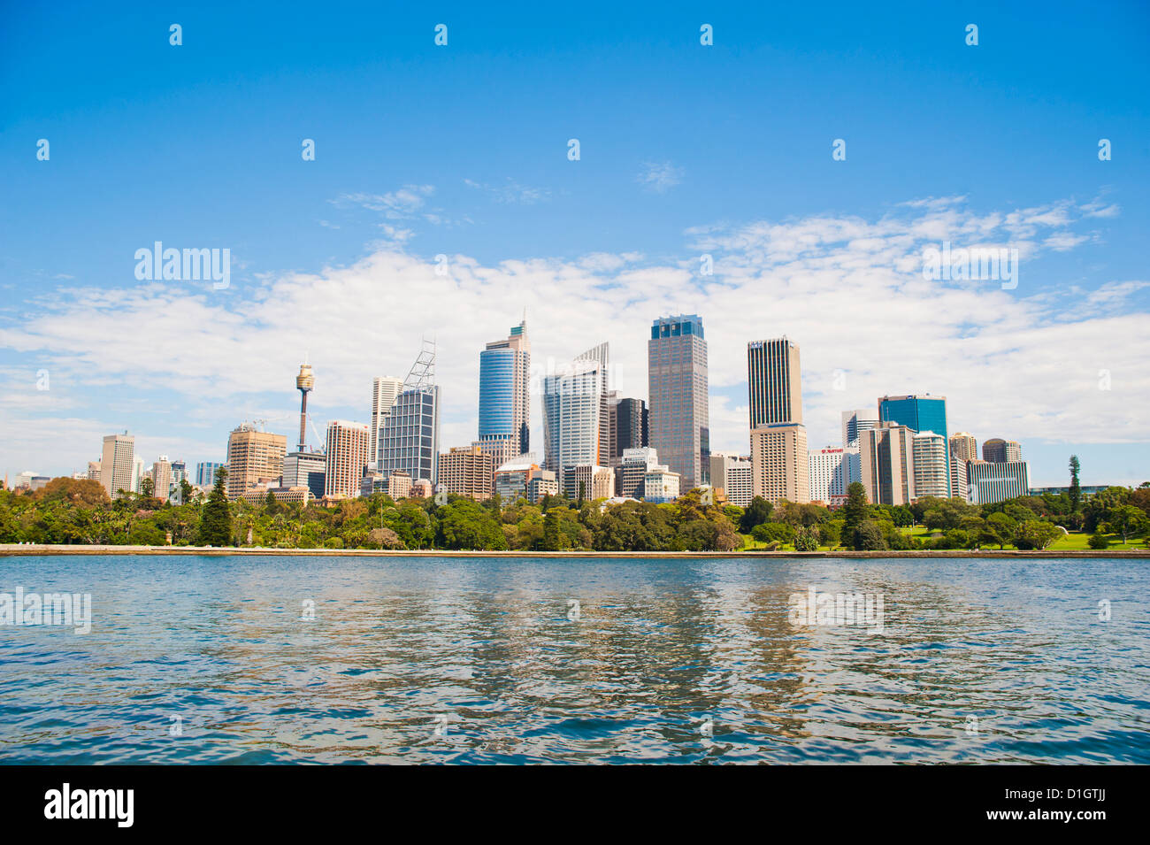 Stadtzentrum von Sydney und central Business District (CBD) von Sydney Botanic Gardens, Sydney, New South Wales, Australien, Pazifik Stockfoto