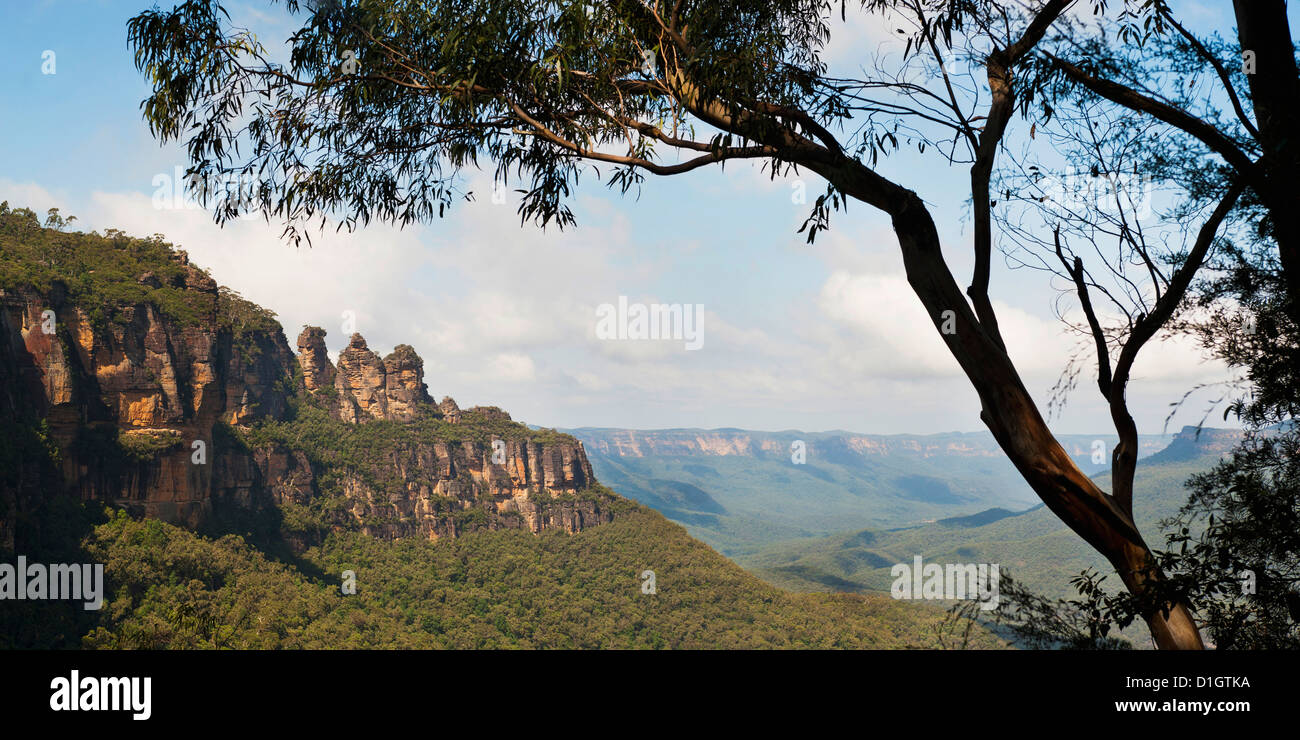 Panorama-Foto von den drei Schwestern, Blue Mountains, Katoomba, New South Wales, Australien, Pazifik Stockfoto