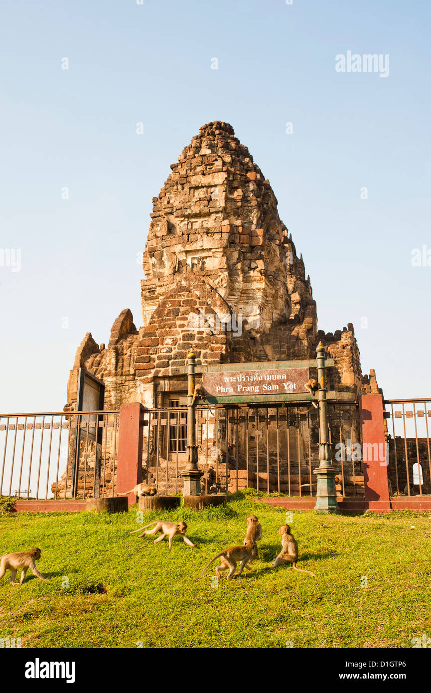 Affen spielen bei Phra Prang Sam Yot buddhistische Tempel, Lopburi, Thailand, Südostasien, Asien Stockfoto