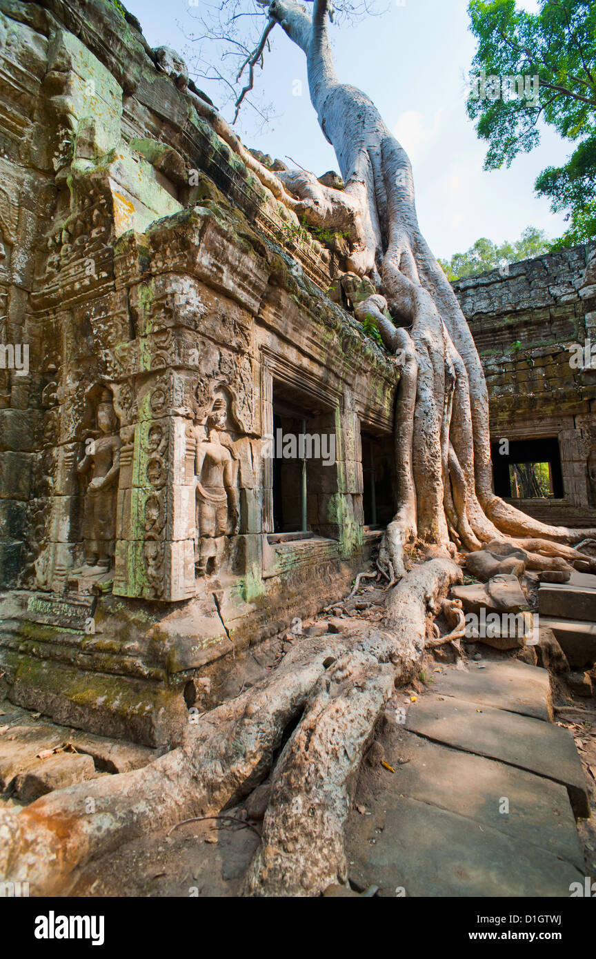 Angkor, UNESCO-Weltkulturerbe, Siem Reap, Kambodscha, Indochina, Südostasien, Asien Stockfoto
