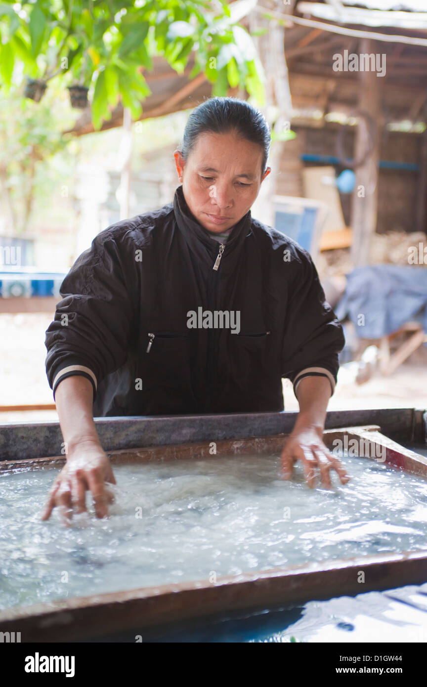 Frau macht Büttenpapier in Luang Prabang, Laos, Indochina, Südostasien, Asien Stockfoto