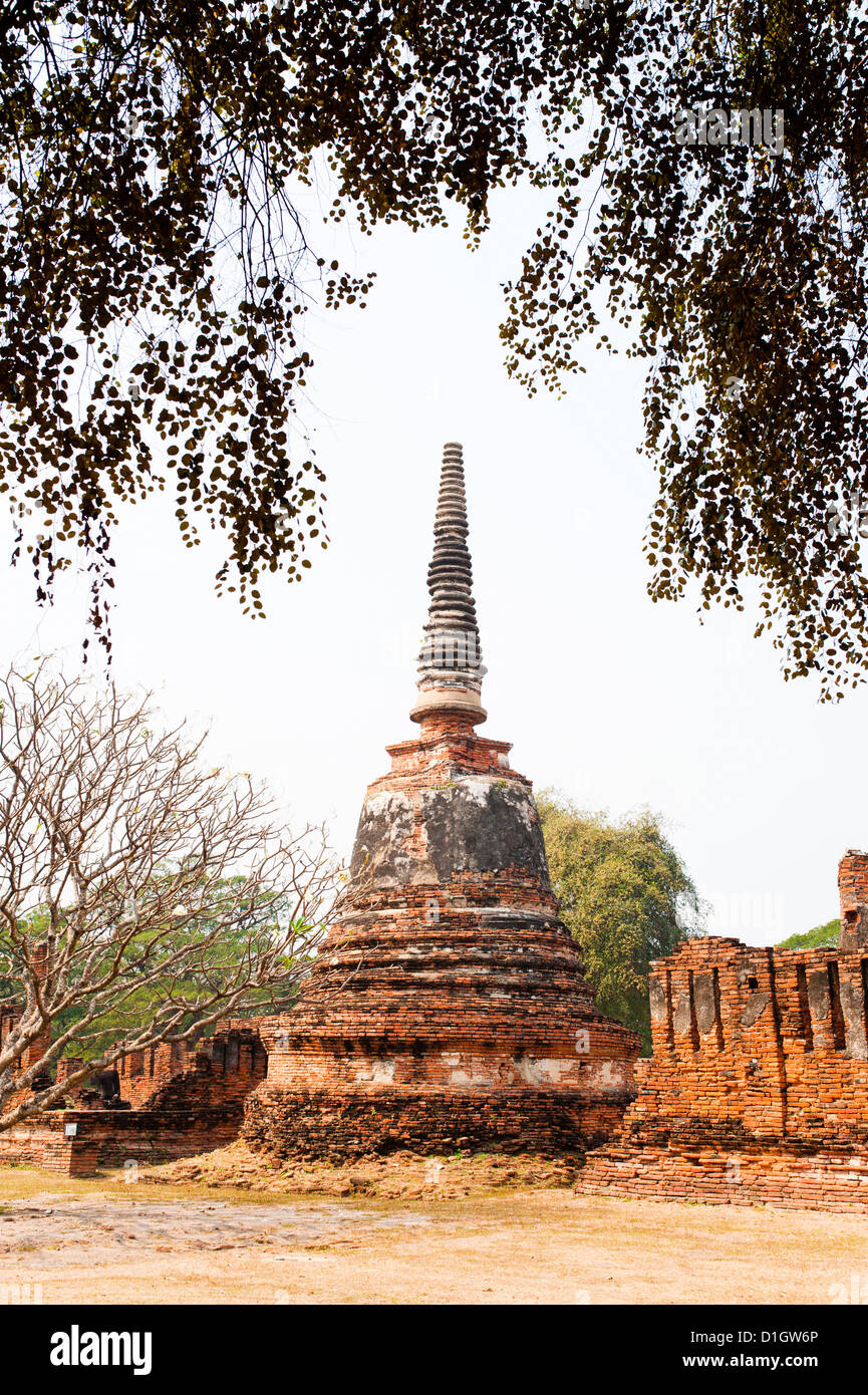 Stupa im Wat Phra Si Sanphet im alten historischen Park der Stadt Ayutthaya, Thailand, Südostasien, Asien Stockfoto