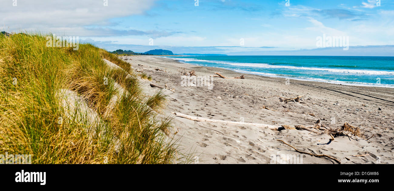 Panorama des wilden und rauhen Ross Beach, West Coast, Südinsel, Neuseeland, Pazifik Stockfoto