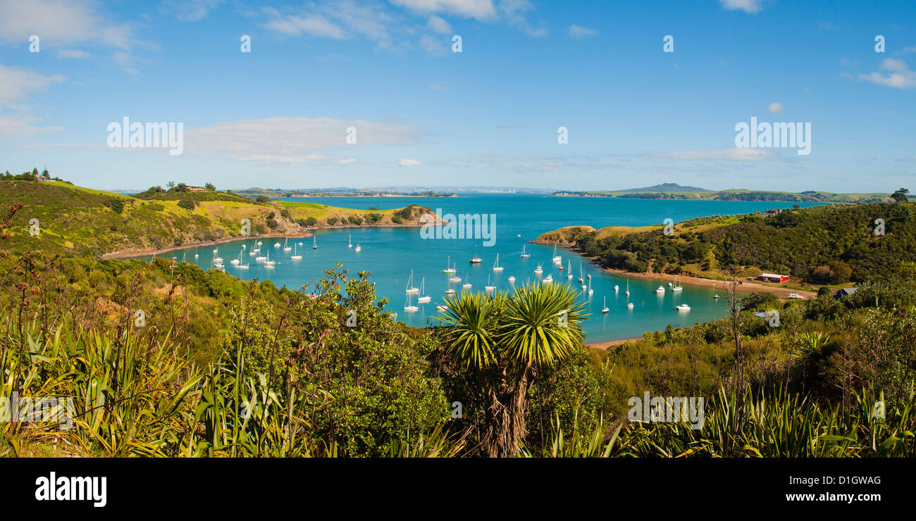 Panorama von Segelbooten auf Waiheke Island, Auckland, Nordinsel, Neuseeland, Pazifik Stockfoto