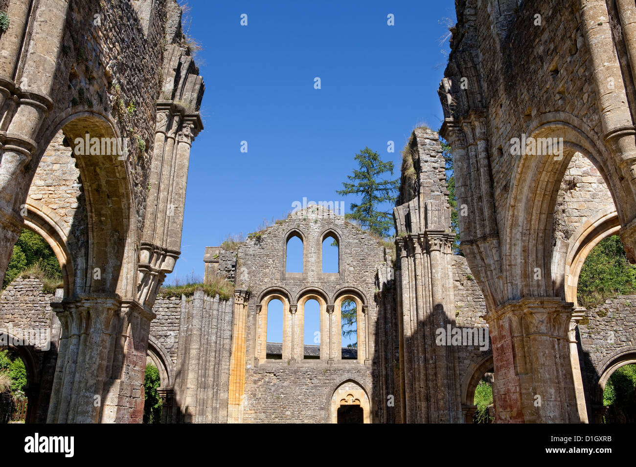 Ruinen der Zisterzienserabtei Orval, Abbaye Notre-Dame wird, Wallonien, Villers-Devant-Orval, Florenville, Belgien, Europa Stockfoto