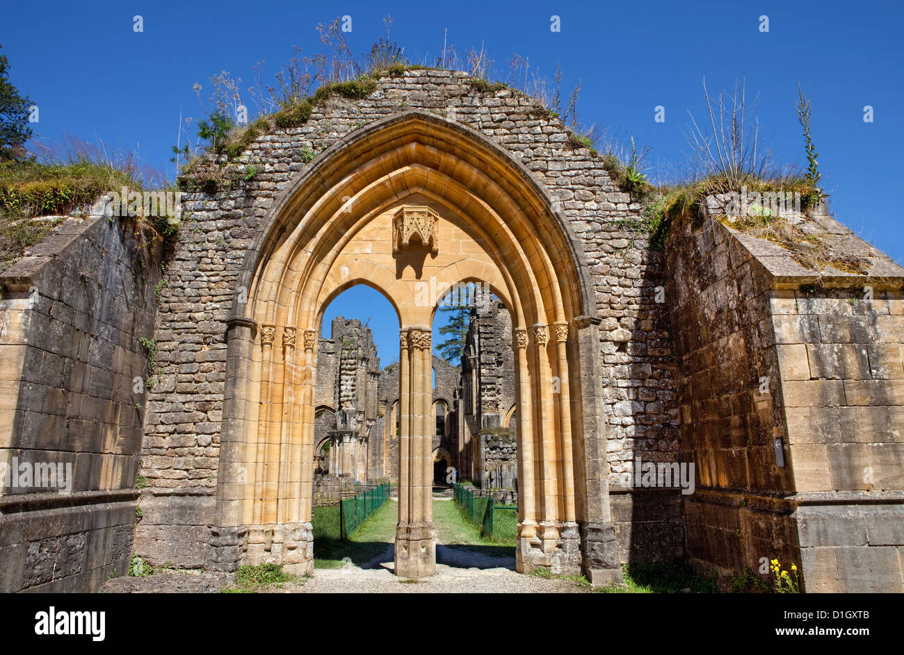 Ruinen der Zisterzienserabtei Orval, Abbaye Notre-Dame wird, Wallonien, Villers-Devant-Orval, Florenville, Belgien, Europa Stockfoto
