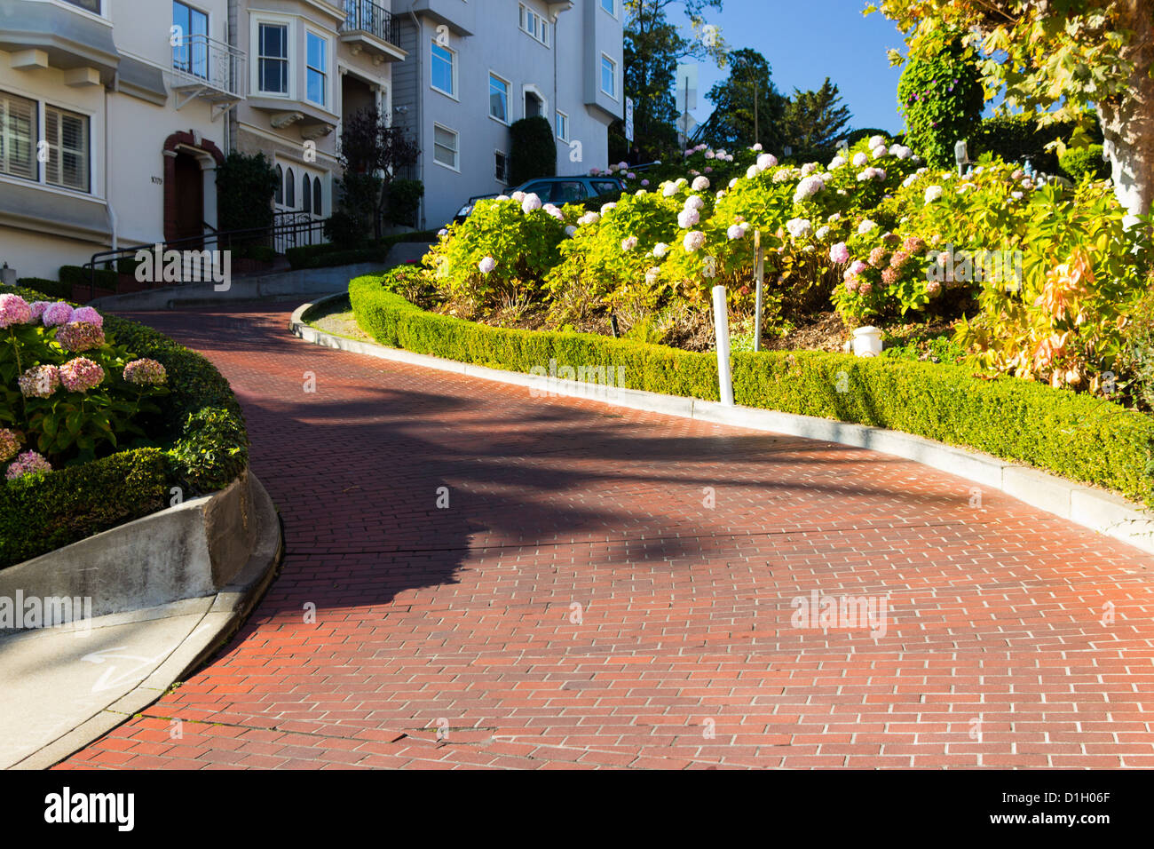 Lombard Street in San Francisco, USA Stockfoto
