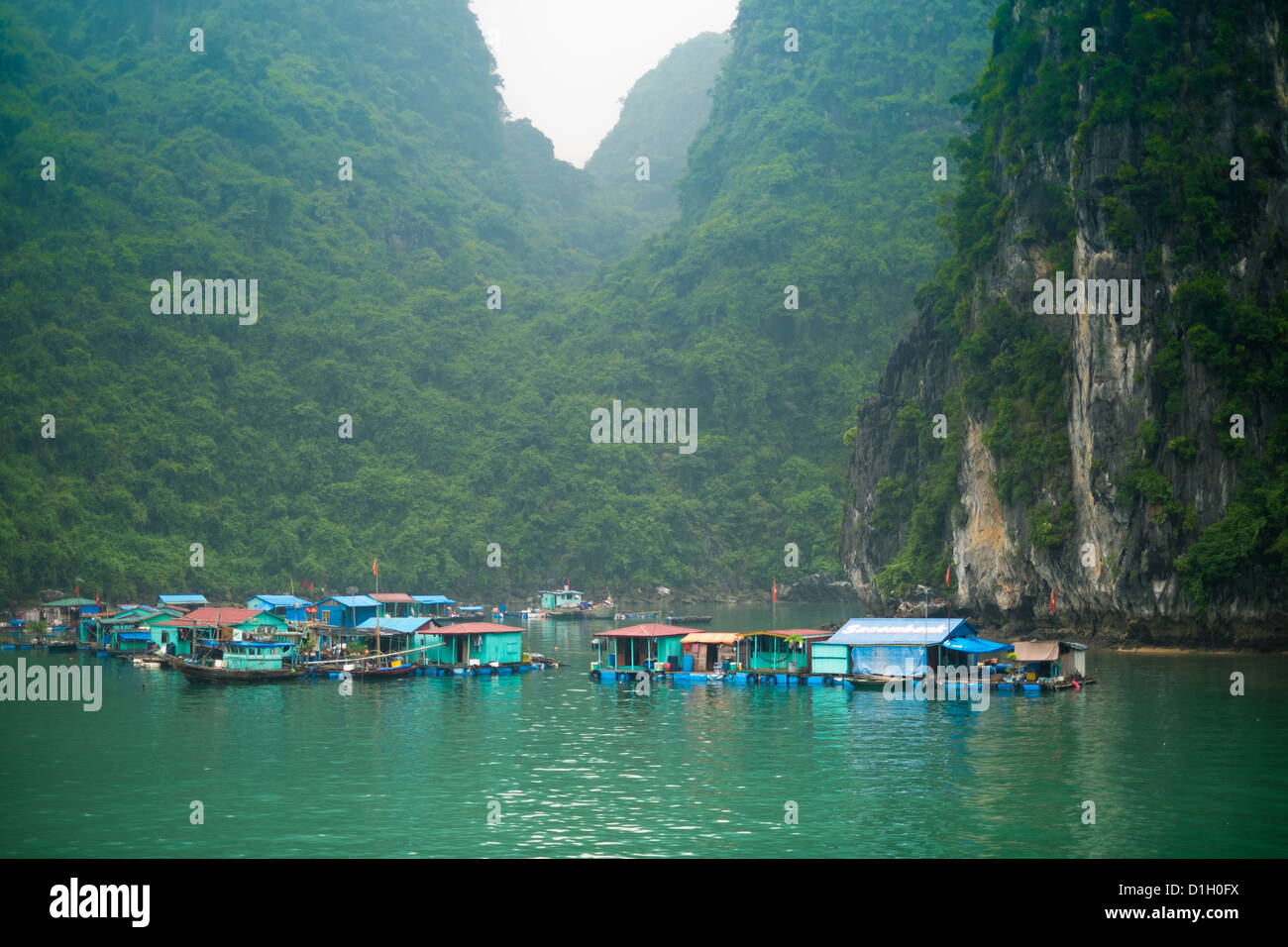 Schwimmende Gemeinschaft Fischerdorf auf Halong-Bucht von Cat Ba Island, Vietnam Stockfoto