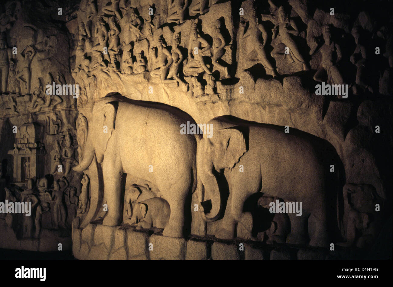 Der gemeißelte Relief in Mamallapuram Darstellung Bhagiratha der Buße in Mamallapuram Mahabalipuram oder eine Stadt in Kancheepuram District im Bundesstaat Tamil Nadu, Südindien Stockfoto