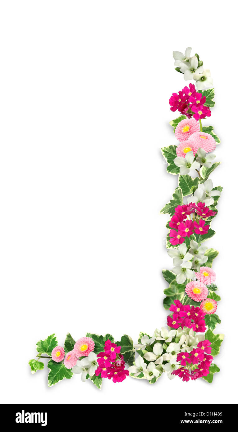 Rahmen aus Blumen Ausschnitt auf weißem Hintergrund Stockfoto