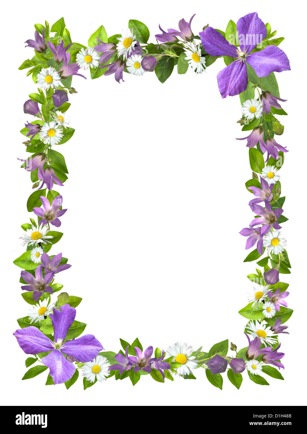 Rahmen aus Blumen Ausschnitt auf weißem Hintergrund Stockfoto