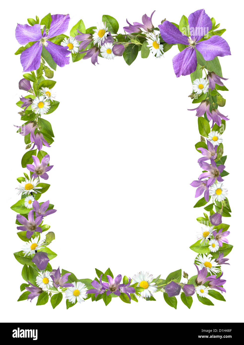 Rahmen aus Blumen Ausschnitt auf weißem Hintergrund Stockfoto