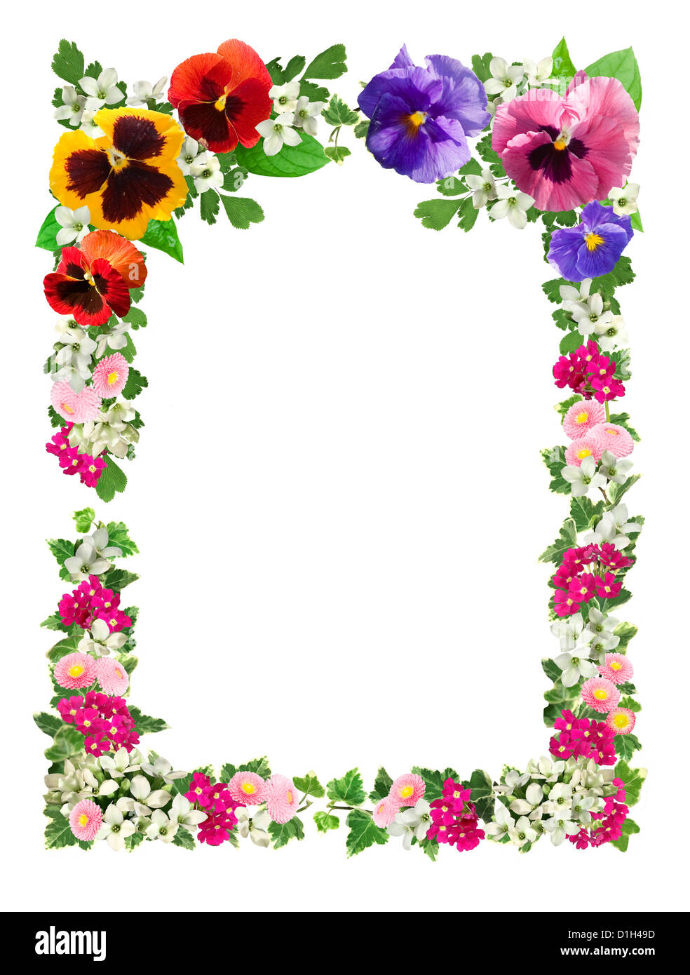 Rahmen aus Blumen Ausschnitt auf weißem Hintergrund Stockfoto