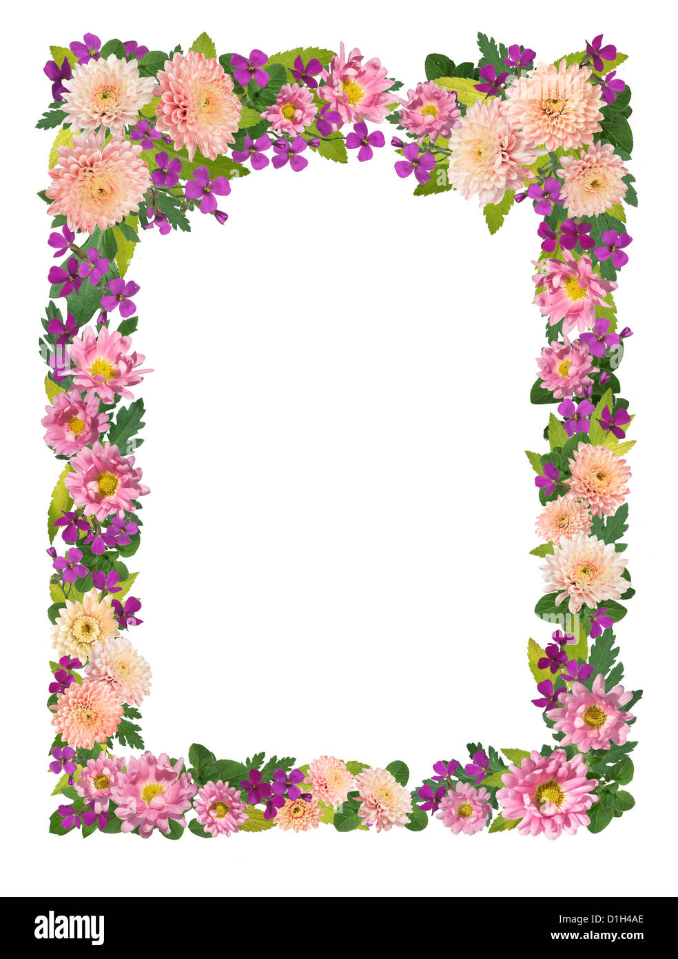 Rahmen aus Blumen Ausschnitt auf weißem Hintergrund Stockfoto