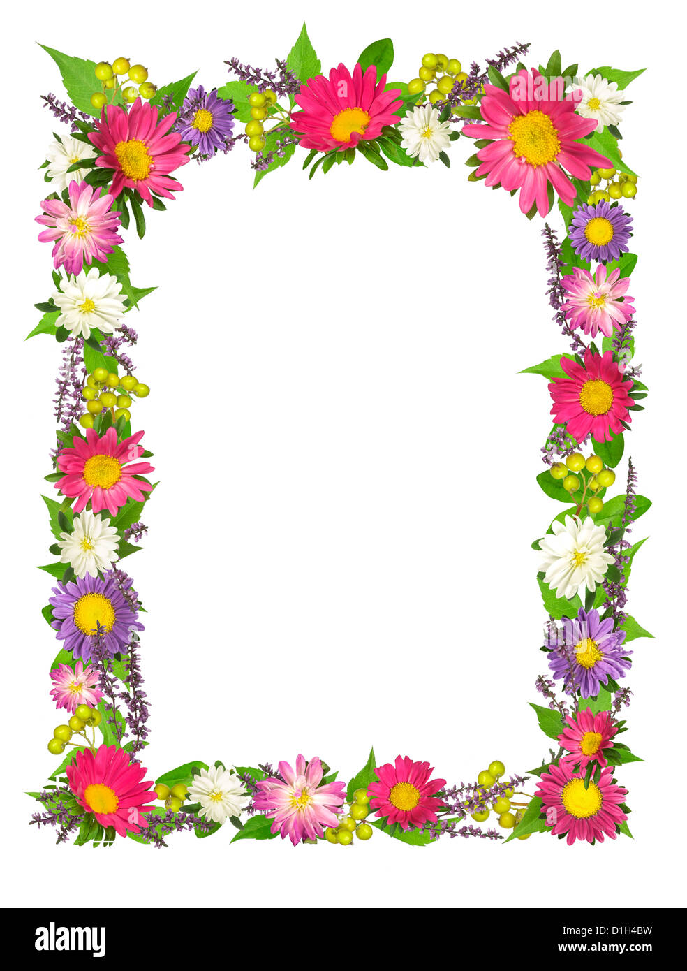 Rahmen aus Blumen Ausschnitt auf weißem Hintergrund Stockfoto