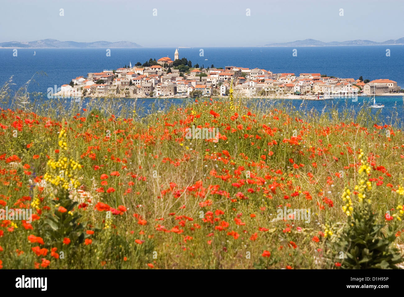 Elk192-2443 Kroatien, Dalmatien, Primosten, Ansicht der Stadt über Wasser mit roter Mohn Stockfoto