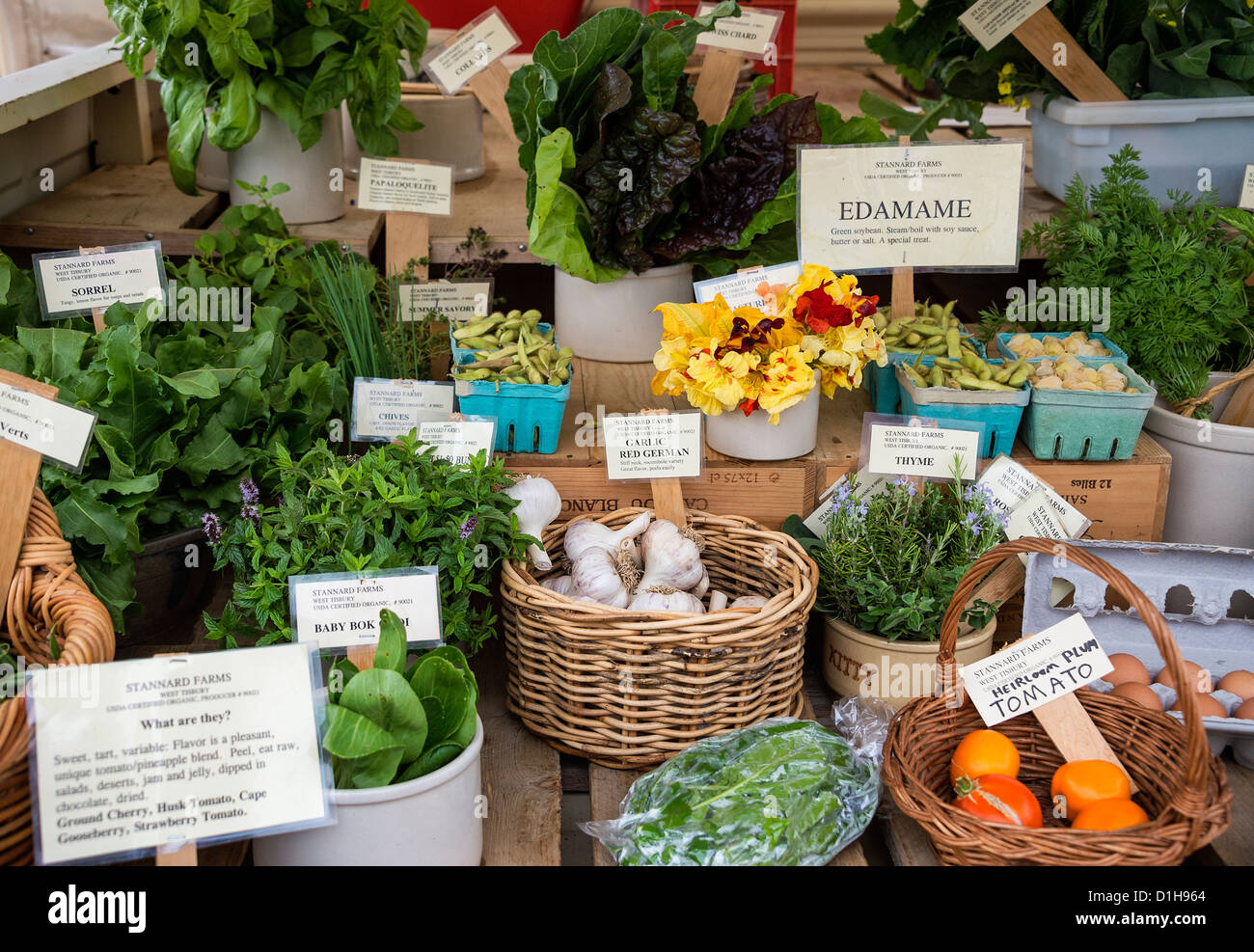 Farmers Market, Martha's Vineyard, Massachusetts, USA Stockfoto
