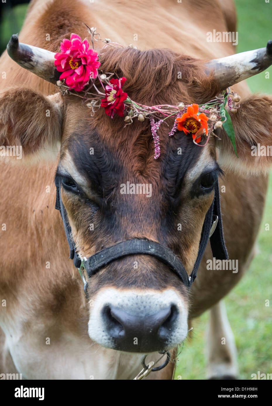 Steuern Sie mit Blumen-Kranz. Stockfoto