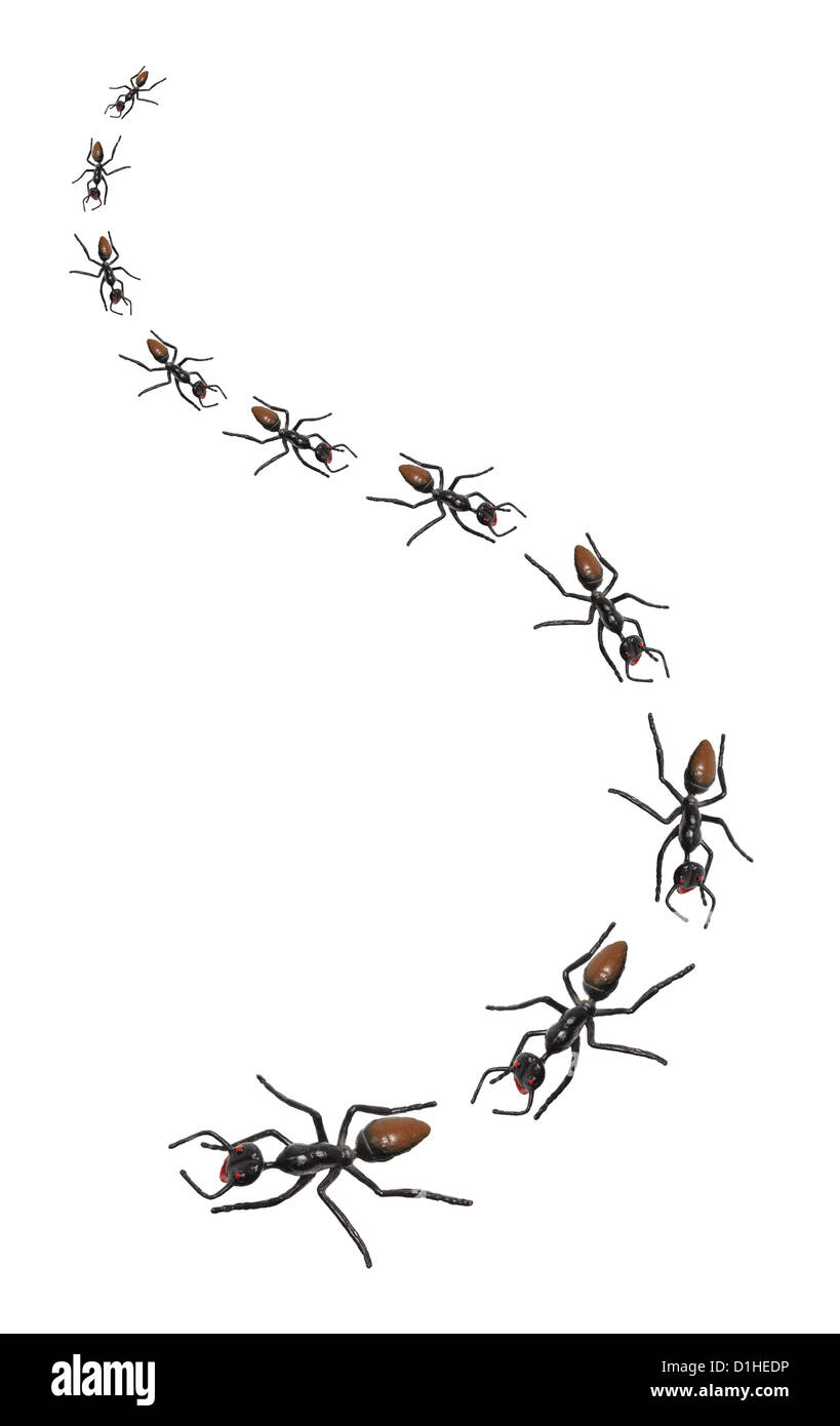 Linie von Spielzeug Ameisen Stockfoto