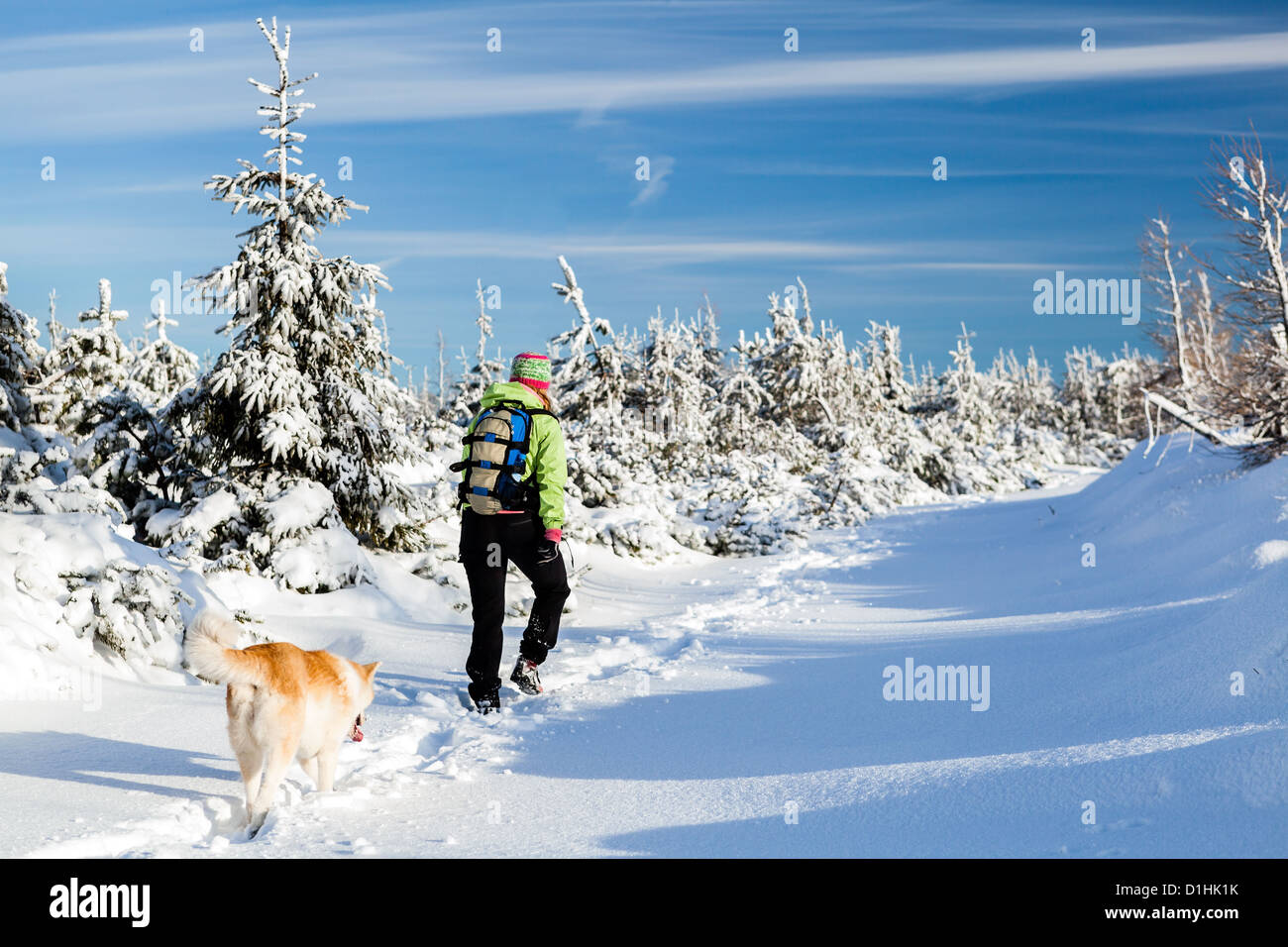 Wandern im Winterberge mit Akita Hund Frau Stockfoto