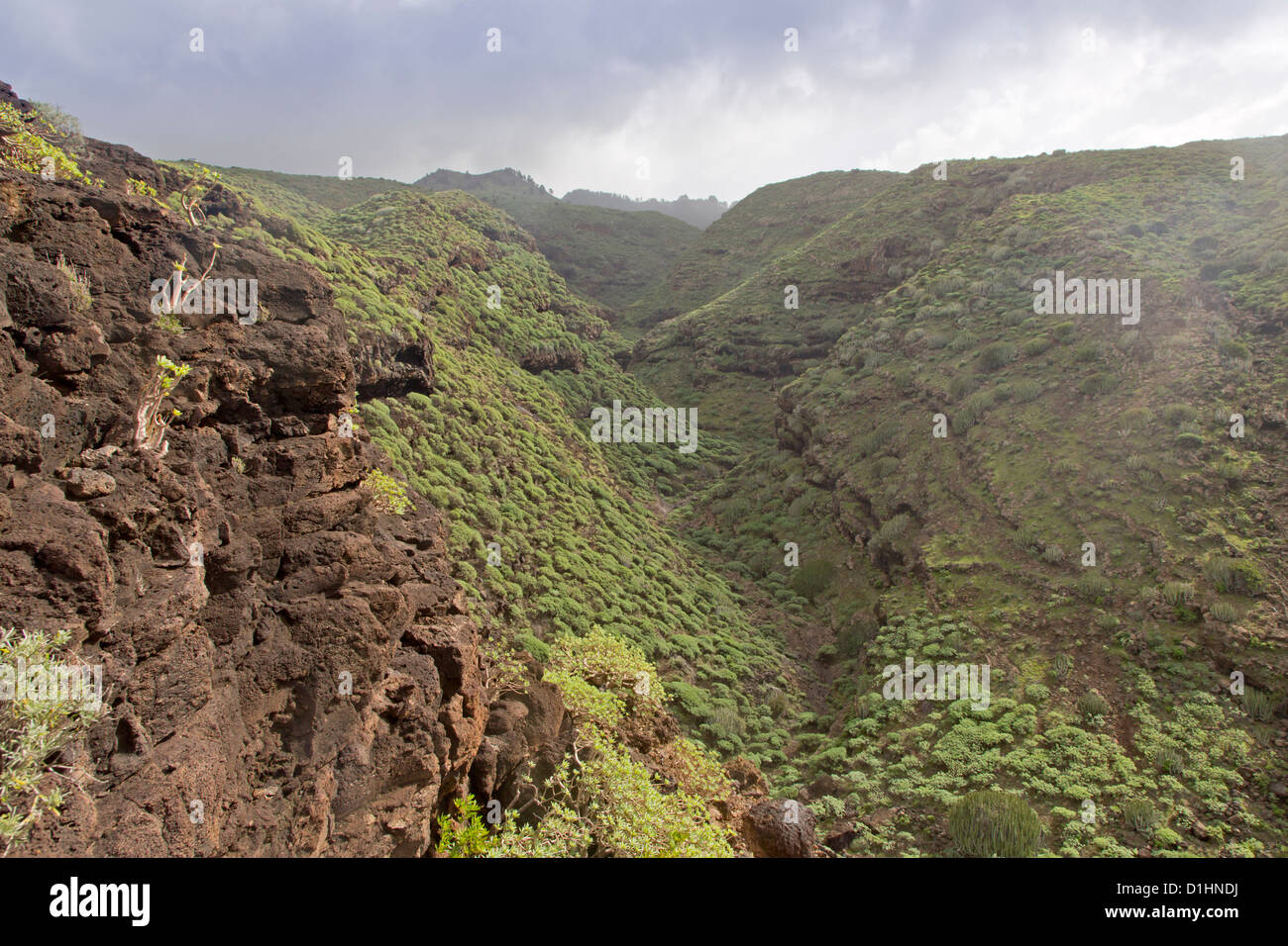 Schlucht in der Nähe von Santo Domingo de Garafia, La Palma, Kanarische Inseln, Spanien Stockfoto