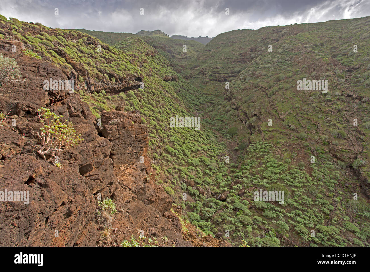 Schlucht in der Nähe von Santo Domingo de Garafia, La Palma, Kanarische Inseln, Spanien Stockfoto