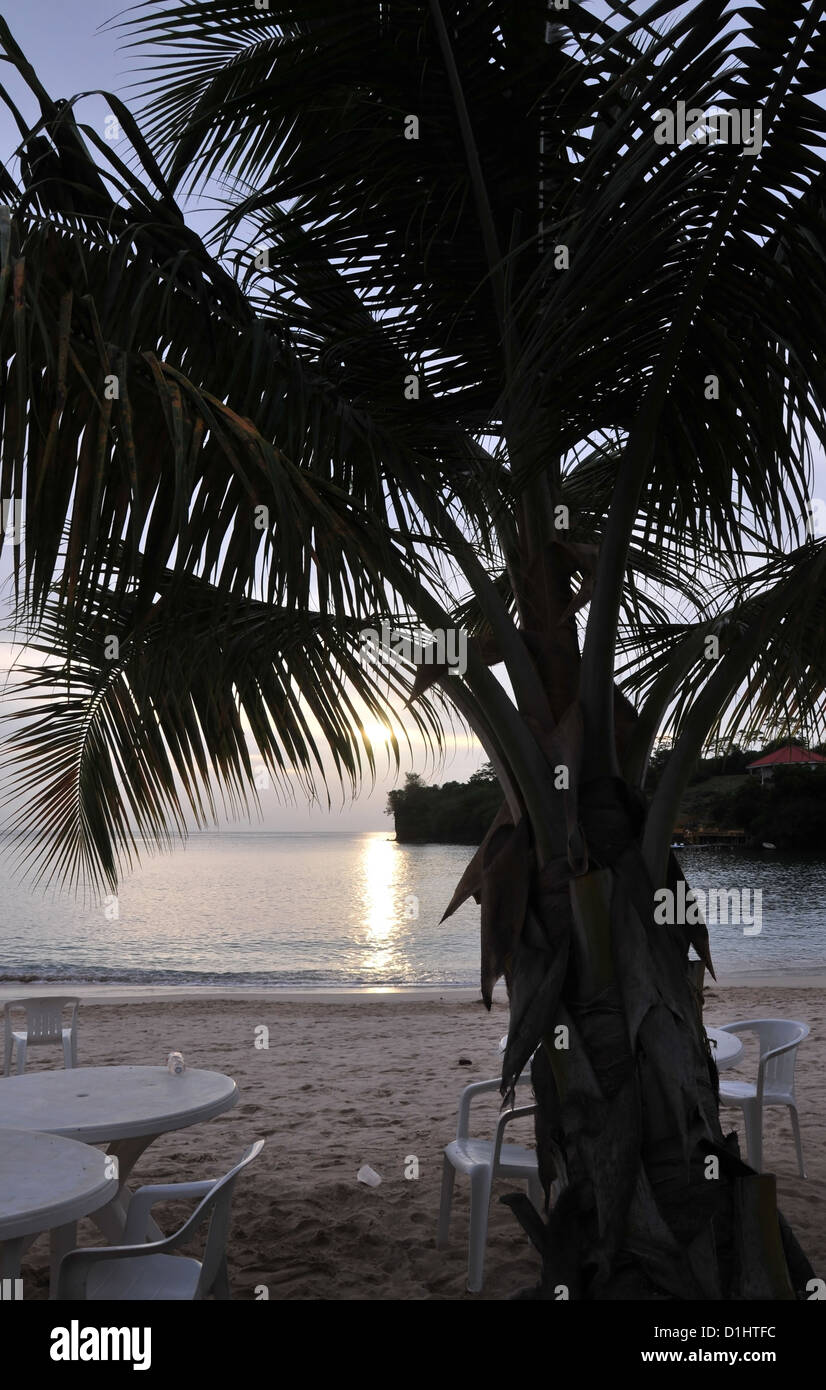 Weißer Kunststoff Tische Stühle unter Silhouette Palme in Richtung Sonne, Gem Resort Morne Rouge Strand, Grenada, West Indies einstellen Stockfoto