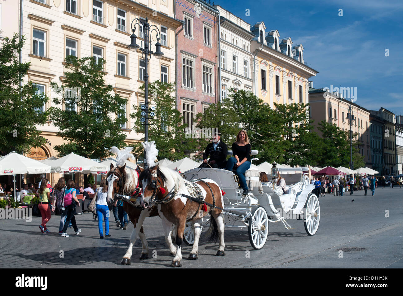 Gebäude und Pferd und Kutsche am Rynek Glówny, dem Hauptplatz in Krakau in Südpolen. Stockfoto