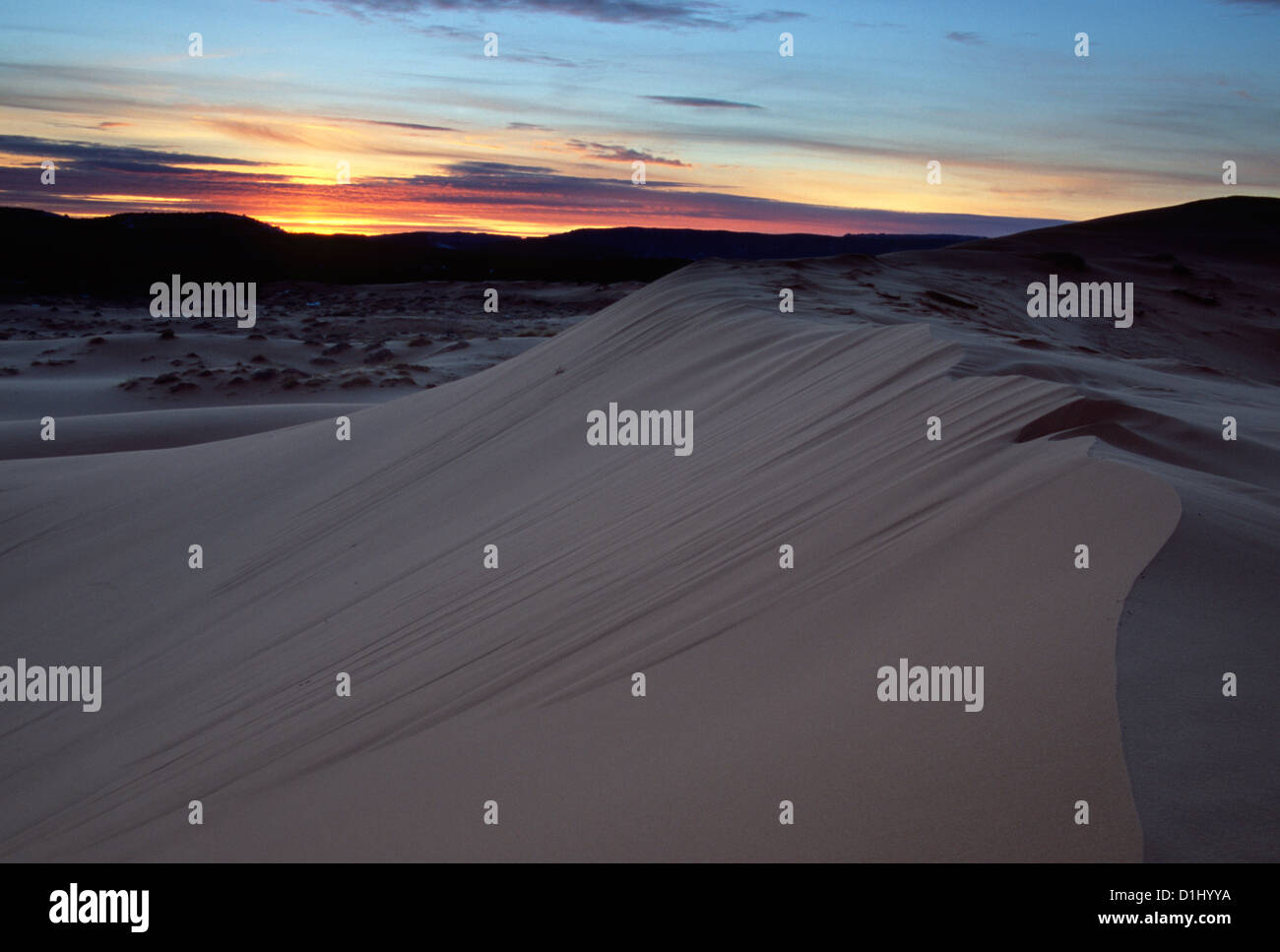 Coral Pink Sand Dunes, Kanab, Utah Stockfoto