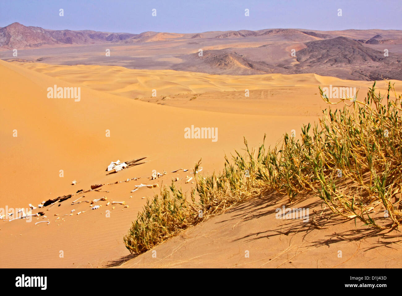 Tod in den Bergen Hartman, Norden Namibias Stockfoto