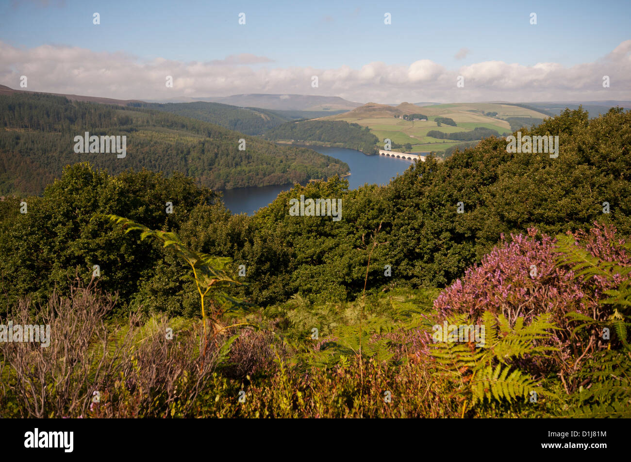 Ladybower Vorratsbehälter von Bamford Moor im Peak District National Park gesehen Stockfoto