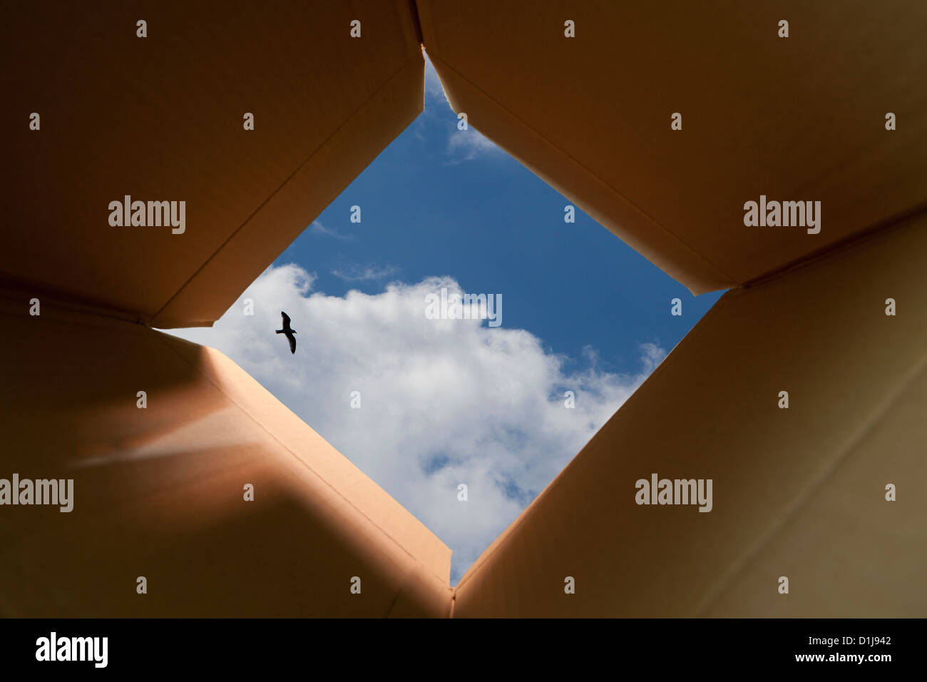 Konzept-Bild über das unkonventionell und anders denken über den Tellerrand hinaus. Stockfoto