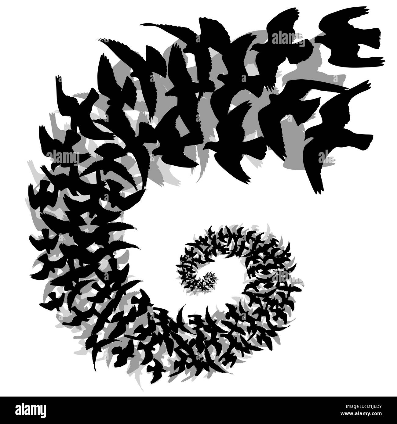 Abbildung einer Spirale von fliegenden Vogel-Silhouetten Stockfoto